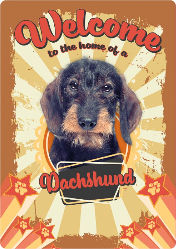 Welcome home Dachshund