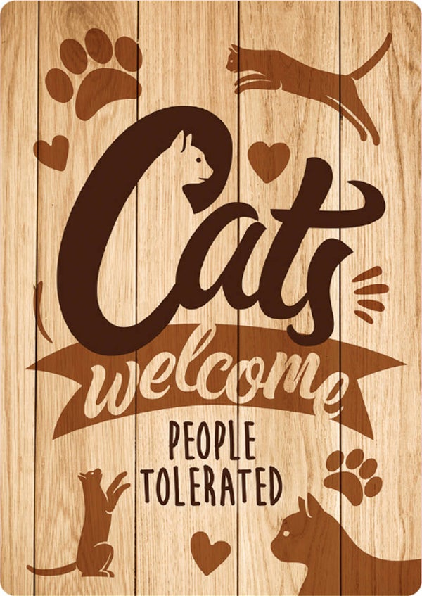 Cats Welcome Wood