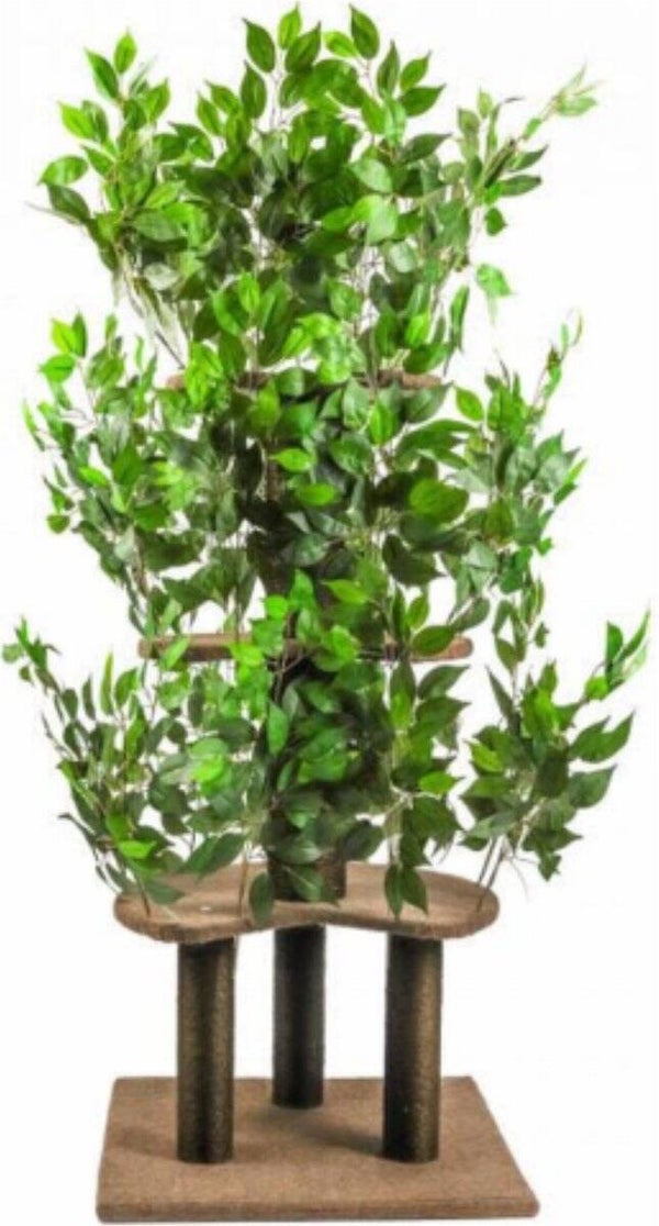 Viervoeter Kattenboom