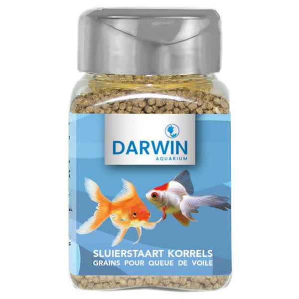 Darwin Sluierstaart korrels 100 ml