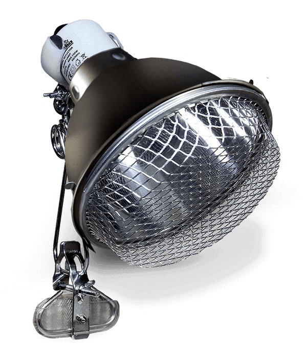 Arcadia Reptile Reflector Clamp Lamp