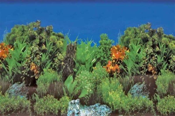 SuperFish Deco Poster B1 60X30 cm