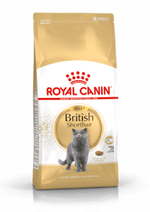 Royal Canin British Shorthair Adult