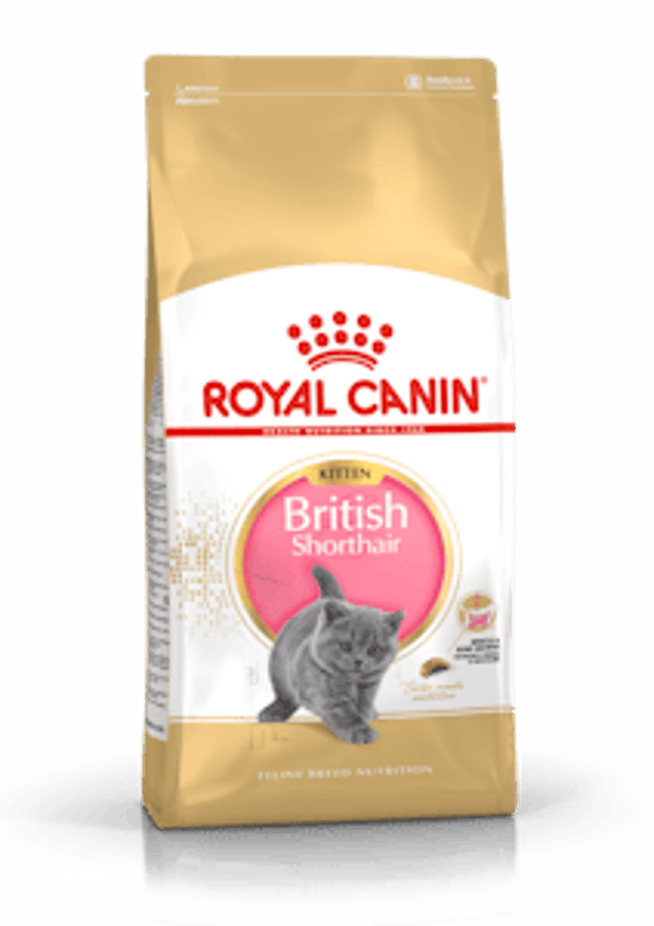 Royal Canin British Shorthair Kitten 2 kg