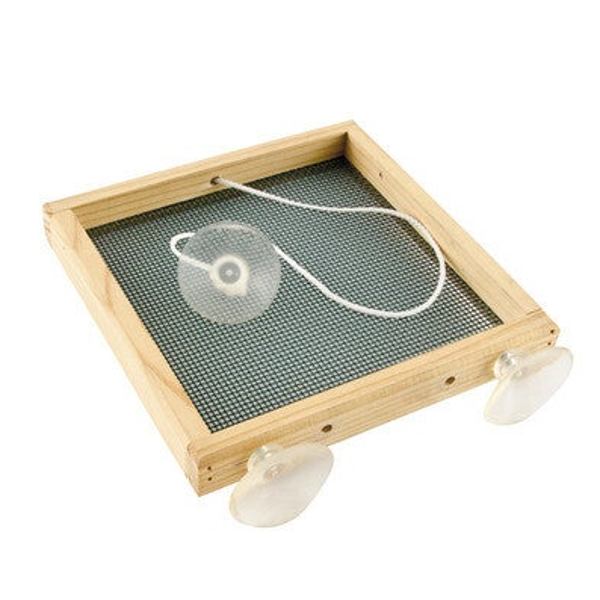 Raamvoeder plateau birdswing