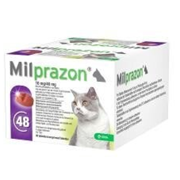 Milprazon kat groot 16mg/40mg 48tabl