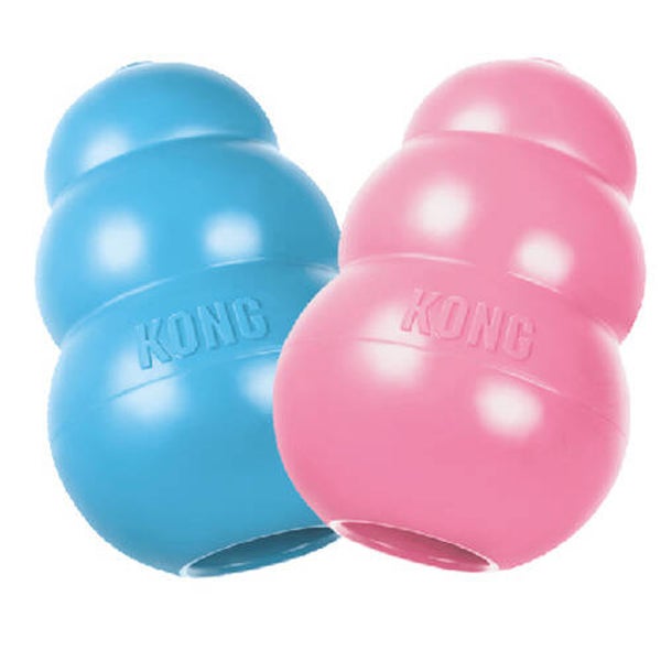 Kong Puppy