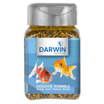 Darwin Goudvis korrels 100 ml