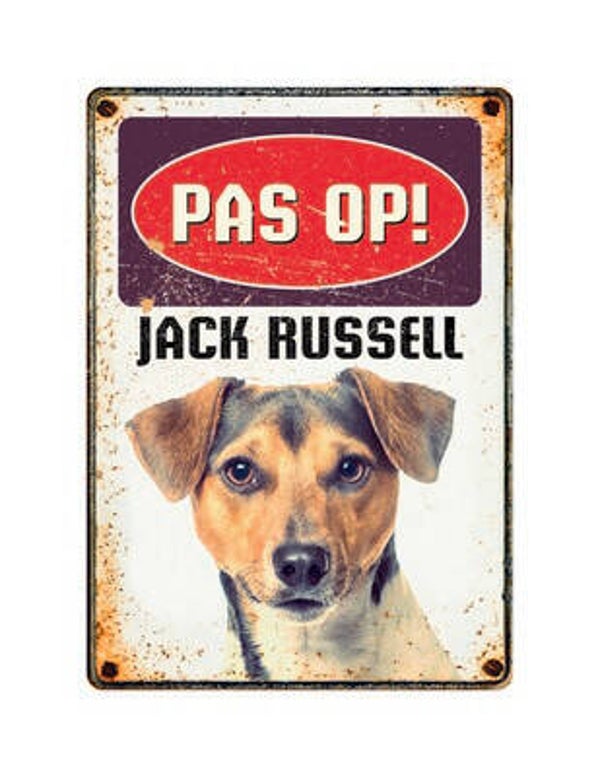 Pas Op Jack Russel