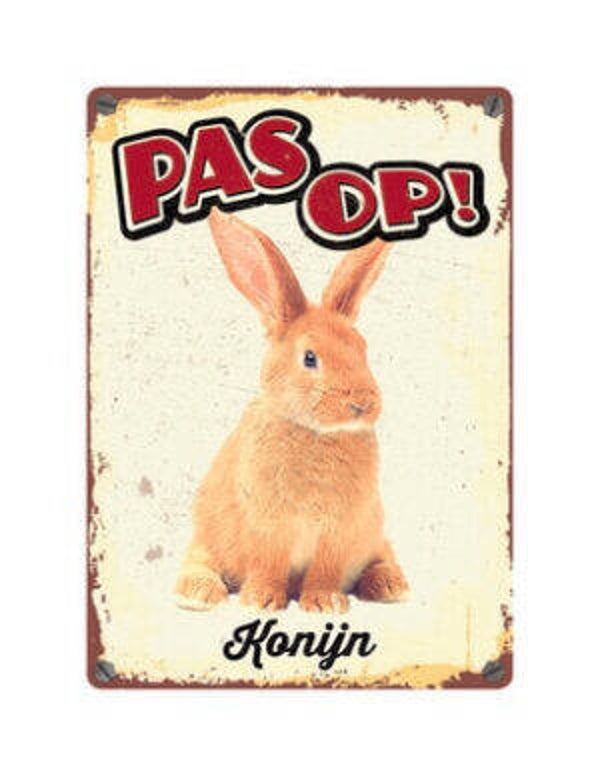 Pas Op Konijn