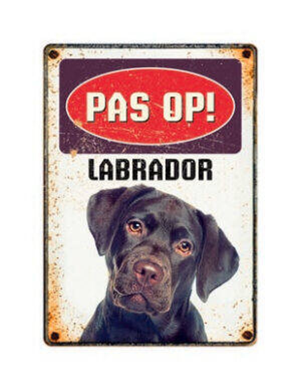 Pas Op Labrador
