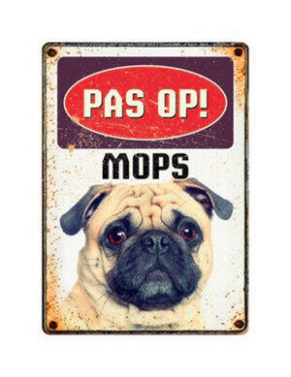 Pas Op Mopshond