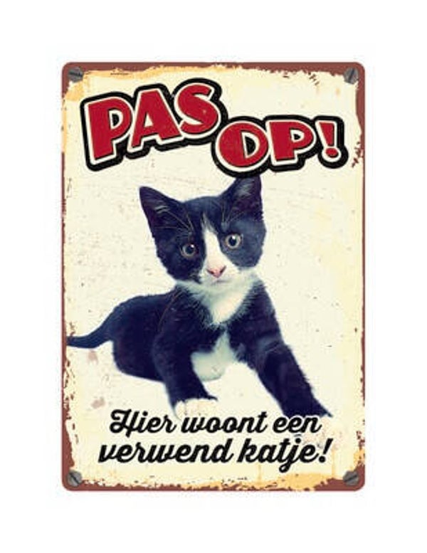 Pas Op Verwend Katje
