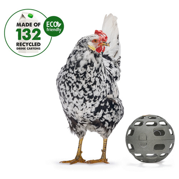 Beeztees Kippen Snackbal Grijs|Groen Ø15 cm