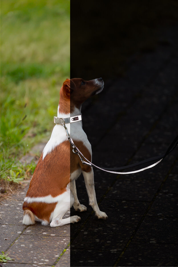 Trixie Premium Reflect Halsband
