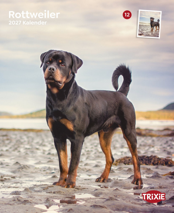 Kalender Rottweilers