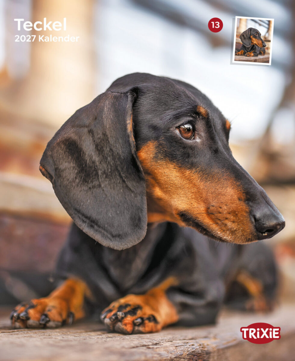 Kalender Teckels