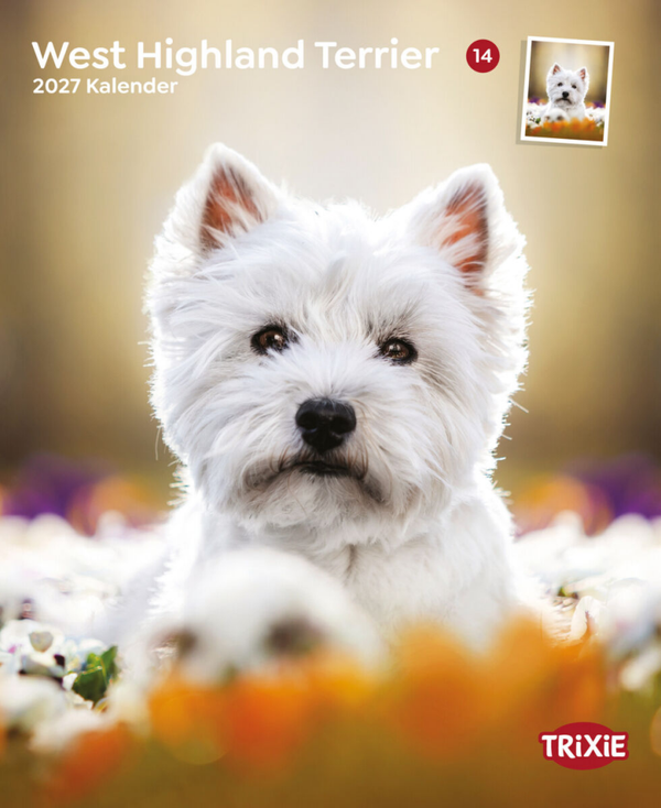 Kalender West Highland Terriërs