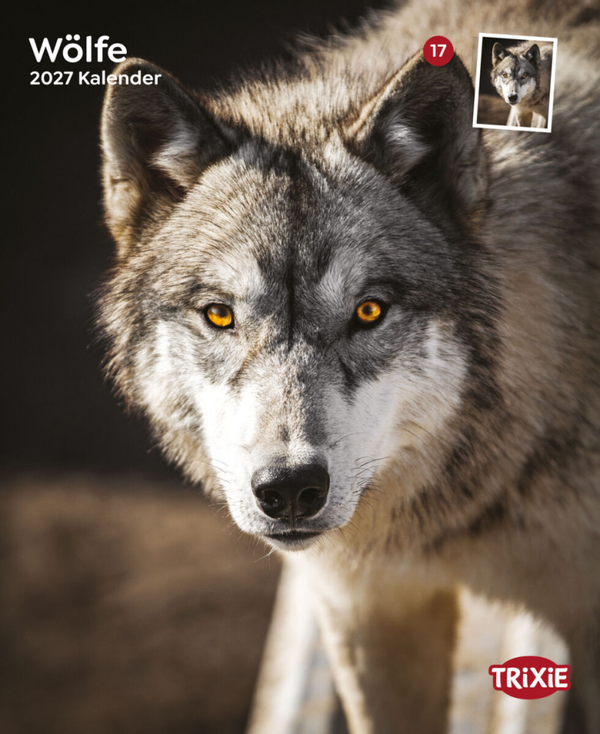 Kalender Wolven