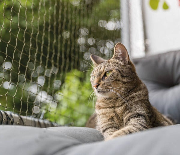Trixie Veiligheidsnet met Draadversterking