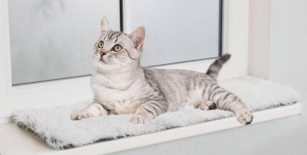 Trixie Ligmat Harvey voor Vensterbank