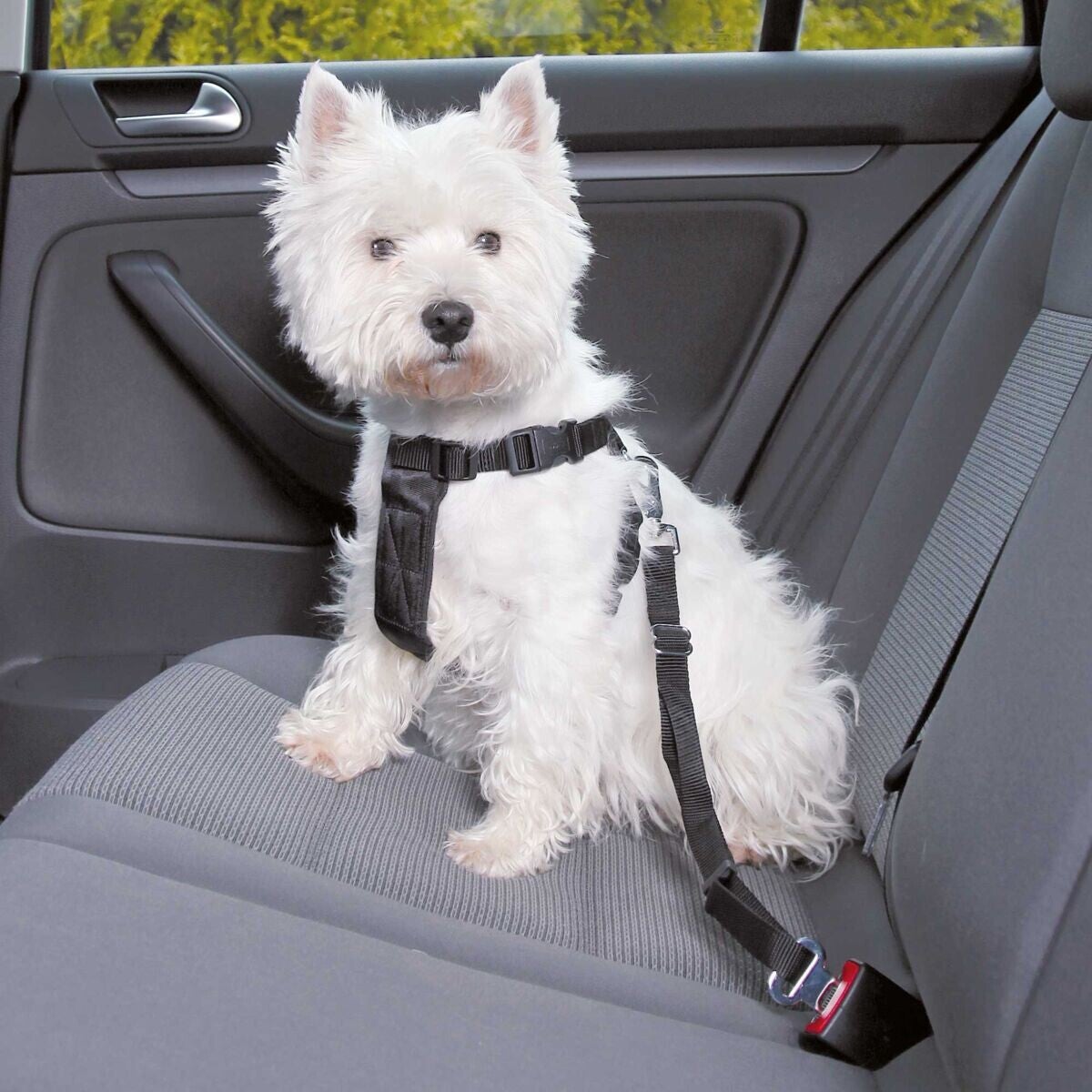 Trixie Auto-Tuig