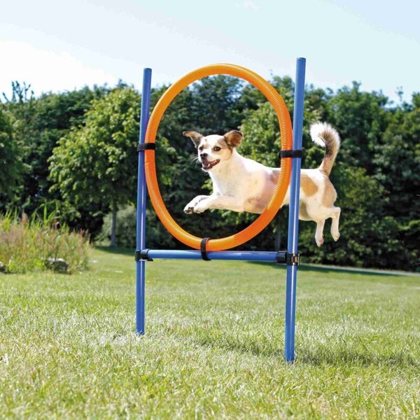 Trixie Fun Agility Ring