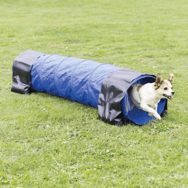Trixie Fun Agility mini-tunnel