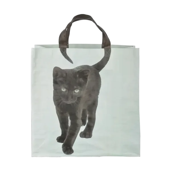 Boodschappen tas poezen staart