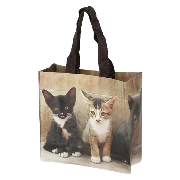 Boodschappentas Kitten