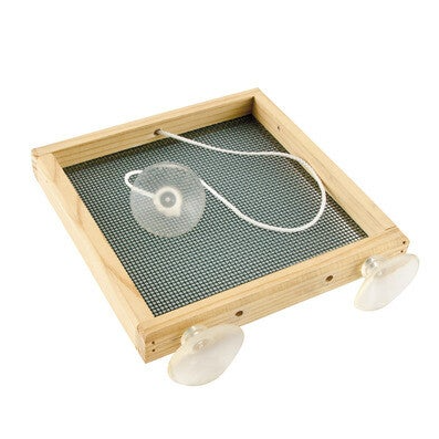 Raamvoeder plateau birdswing