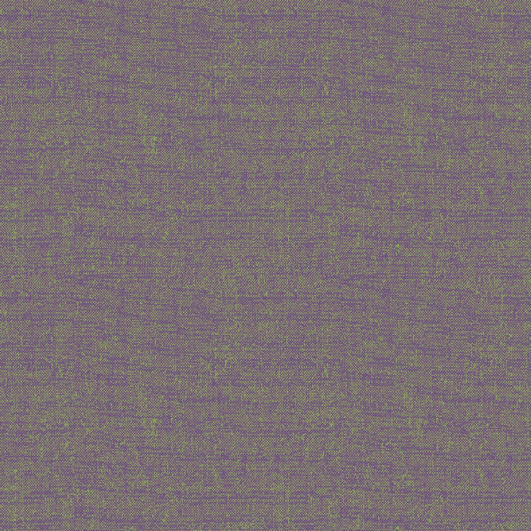 First Light - MASD10150-VG