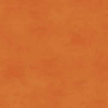 Shadow Play - MAS513-O8
