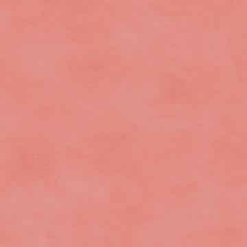 Shadow Play - MAS513-PP