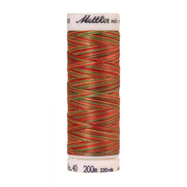 Mettler - Poly Sheen Multi 9939