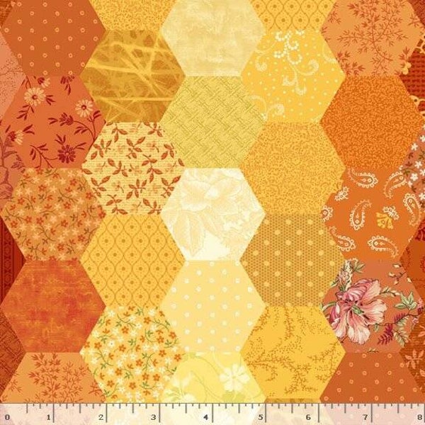 Patrick's Promise - Multi R162111D Hexagon