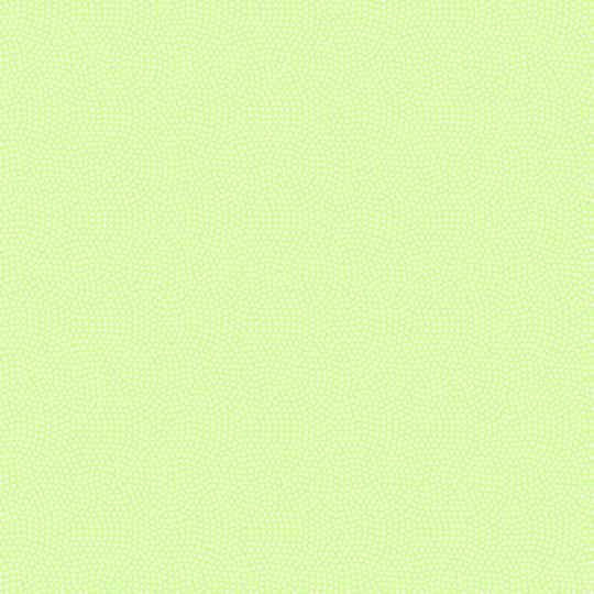 Spin Dot Basic - Pistachio