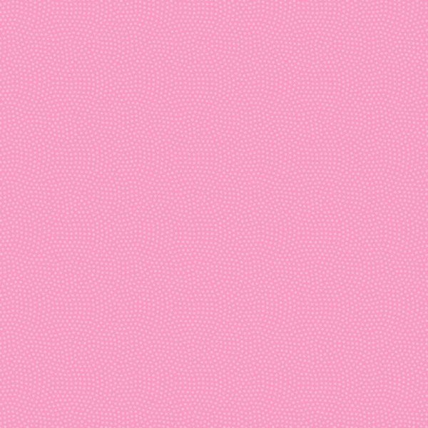 Spin Dot Basic - Raspberry