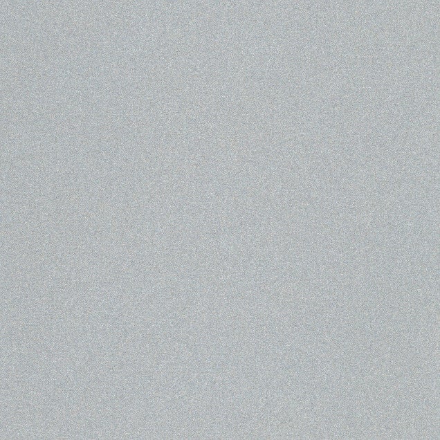 Starlight Metallics - Silver