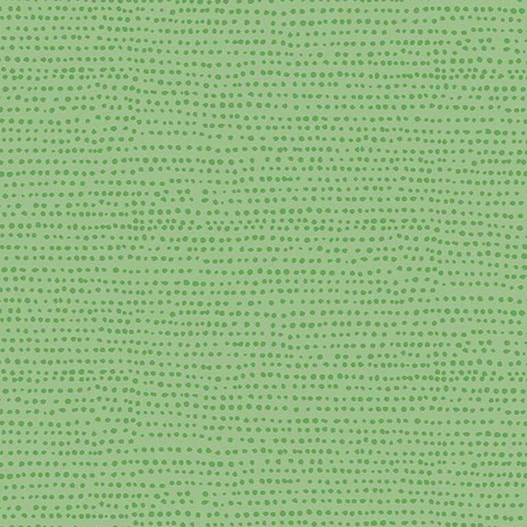 Moonscape - 1150 Kiwi