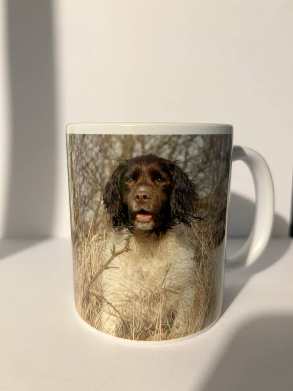Springer Spaniel Mug