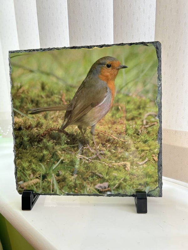 Robin Photo Slate