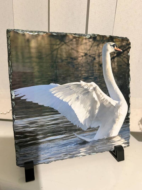 Swan Photo Slate