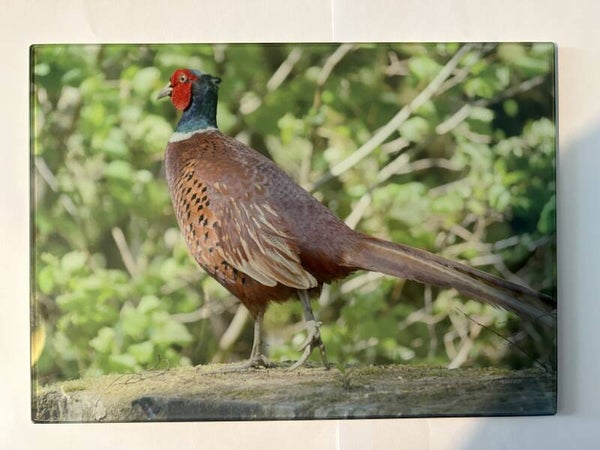 Pheasant Glass Chopping Board