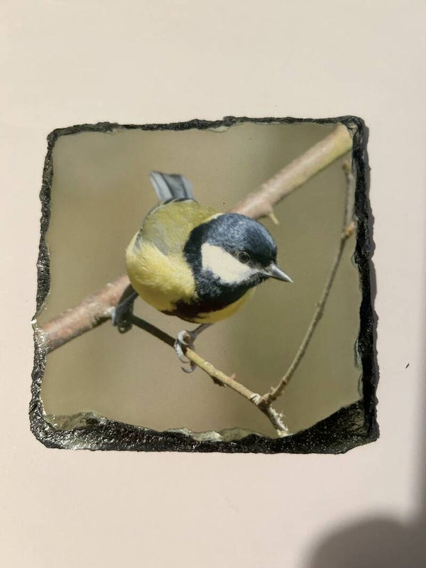 Great Tit Slate Coaster