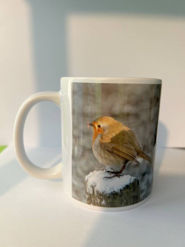 Robin Mug