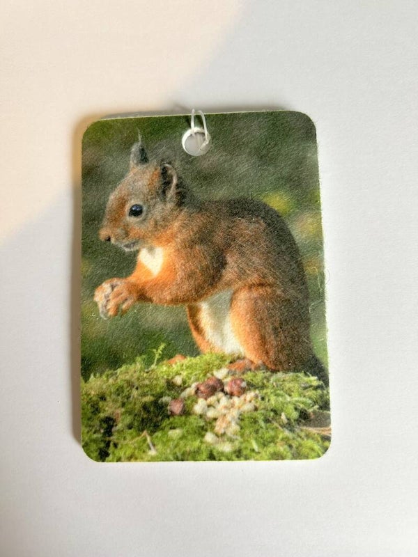 Red Squirrel Car Air Freshener