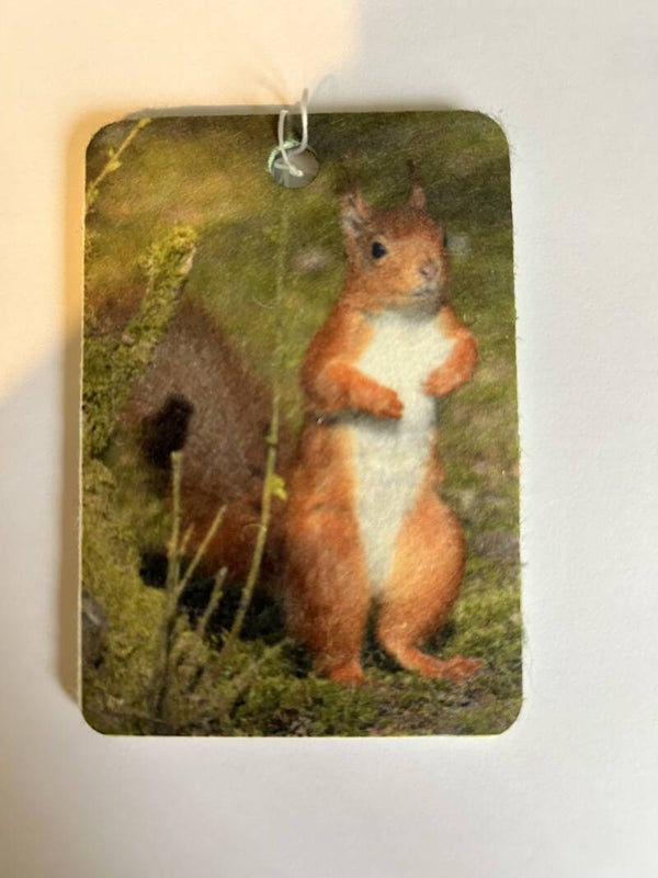 Red Squirrel Car Air Freshener