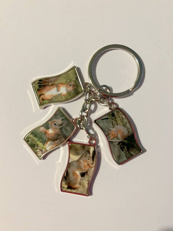 4 Flag Key Ring - Red Squirrel