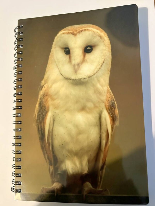 Barn Owl Notebook